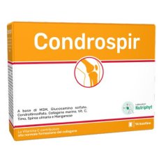 CONDROSPIR 14BUST CONDROSPIR 14BUST