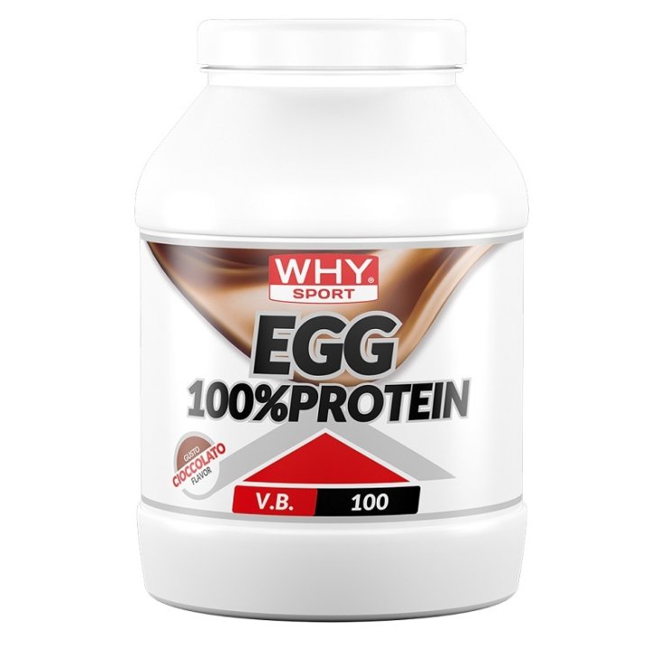WHYSPORT EGG 100% PROTEIN CIOC WHYSPORT EGG 100% PROTEIN CIOC