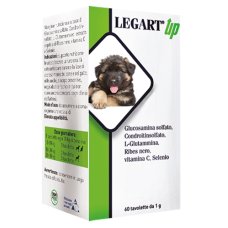 LEGART UP 60CPR LEGART UP 60CPR