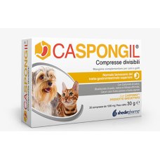 CASPONGIL 30CPR DIVISIBILI CASPONGIL 30CPR DIVISIBILI