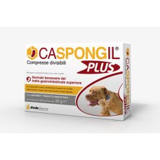 CASPONGIL PLUS 30CPR CASPONGIL PLUS 30CPR