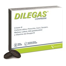 DILEGAS COMPRESSE 30CPR DILEGAS COMPRESSE 30CPR