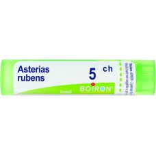 ASTERIAS RUBENS 5CH GR ASTERIAS RUBENS 5CH GR