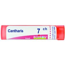 CANTHARIS 7CH GR CANTHARIS 7CH GR