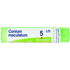 CONIUM MACULATUM 5CH GR CONIUM MACULATUM 5CH GR