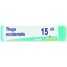THUYA OCCIDENT 15CH GL THUYA OCCIDENT 15CH GL