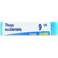 THUYA OCCIDENT 9CH GL THUYA OCCIDENT 9CH GL