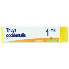 THUYA OCCIDENT MK GL THUYA OCCIDENT MK GL