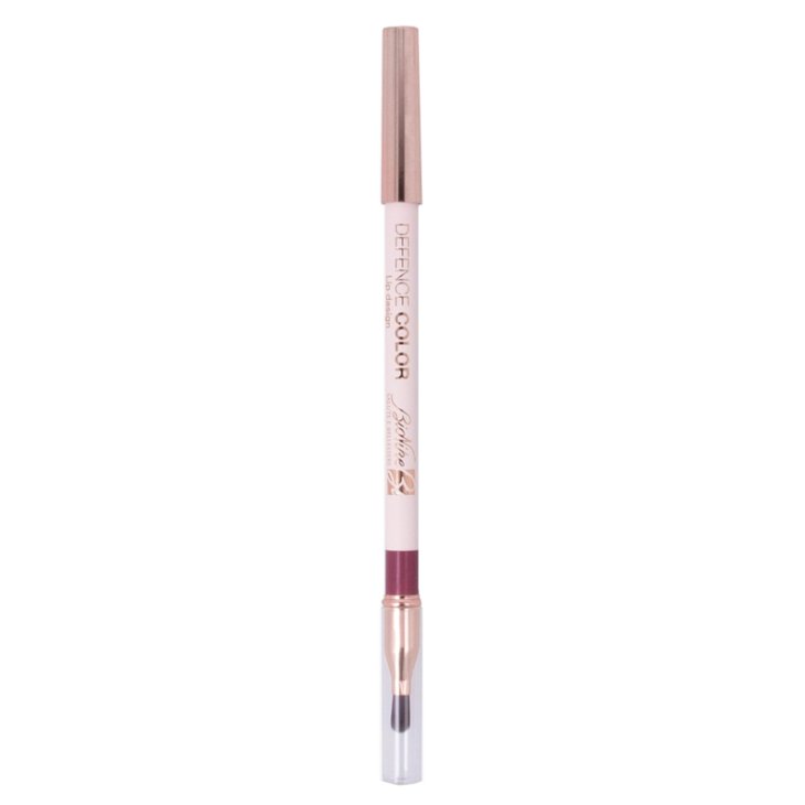DEFENCE COLOR LIP DES MAT 210
