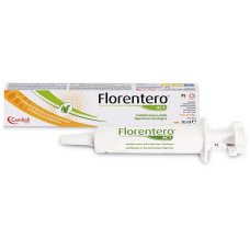 FLORENTERO ACT PASTA 30 ML FLORENTERO ACT PASTA 30 ML