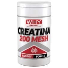 WHYSPORT CREATINA 200 MESH500G WHYSPORT CREATINA 200 MESH500G