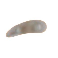 ORIONE OK P G114 CUSC ANELL DX ORIONE OK P G114 CUSC ANELL DX