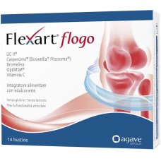 FLEXART FLOGO 14BUST FLEXART FLOGO 14BUST