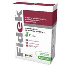 FIDEK 40 CPR 1 GR