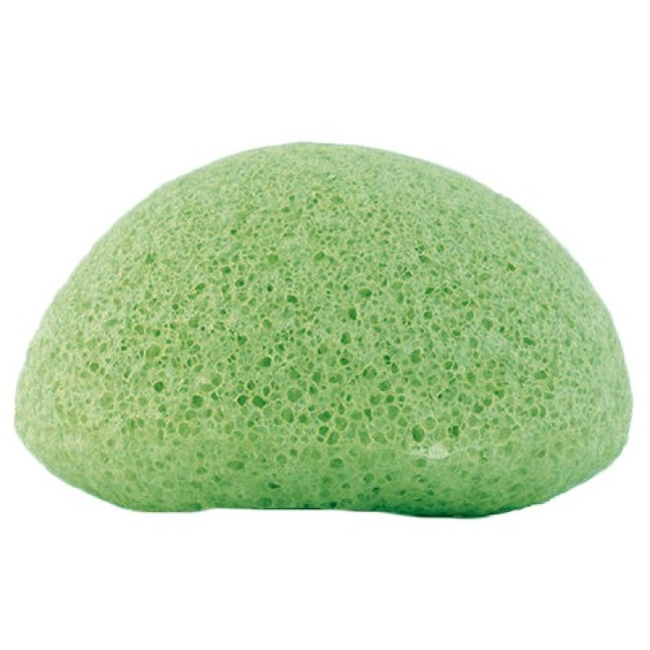 KONJAC SPUGNA VERDE