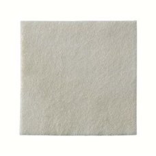 BIATAIN ALGINATE AG 10X10 10PZ