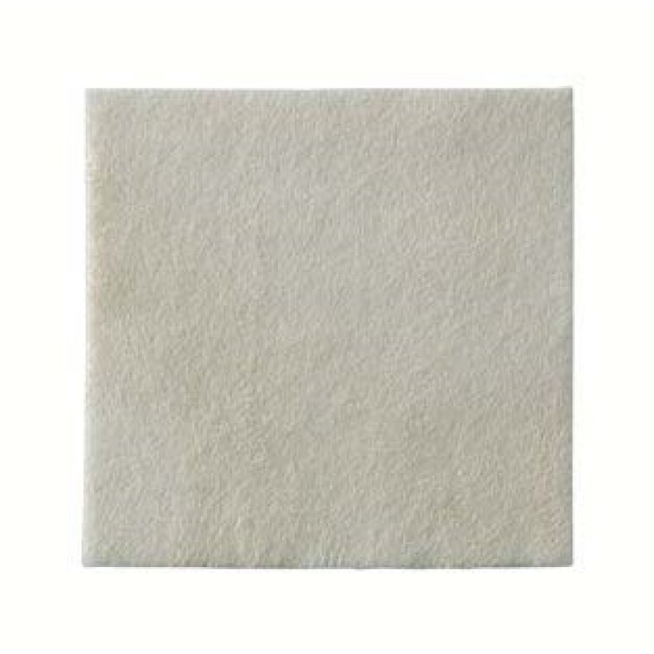BIATAIN ALGINATE AG 10X10 10PZ BIATAIN ALGINATE AG 10X10 10PZ